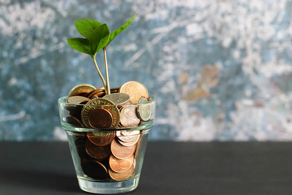 plant pot filled with money and sprouting flower